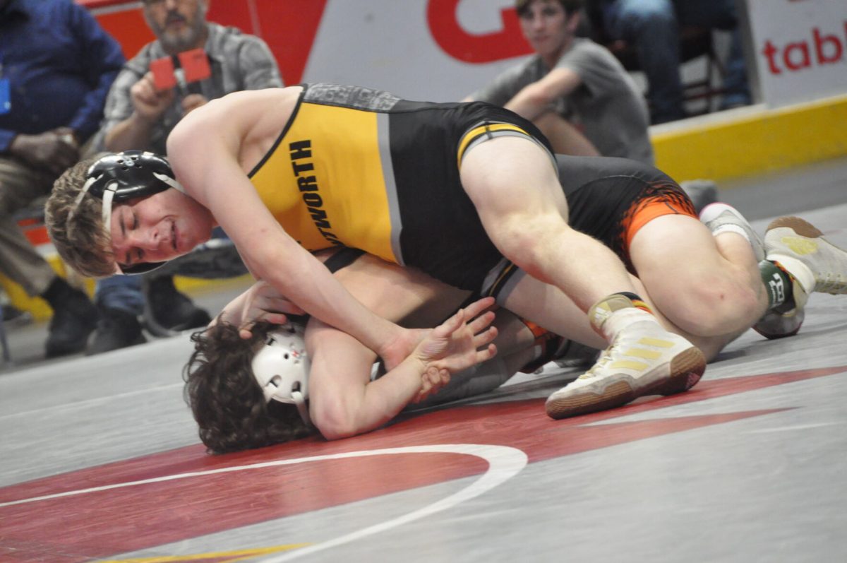 Rob Sentipal Double trouble: Sentipal, Vargo lose in semis - Observer-Reporter